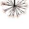 12" Pre-Lit LED Brown Christmas Ball Decoration